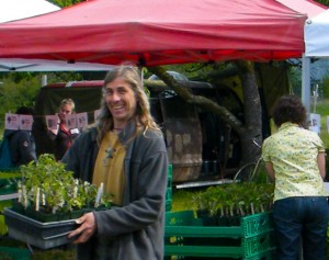 Makaria Farm hosts an annual organic tomato plant sale.