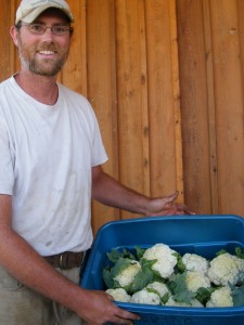 Farmer Brock flaunts some lovely cauliflower heads.