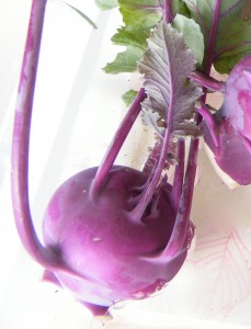 kohlrabi