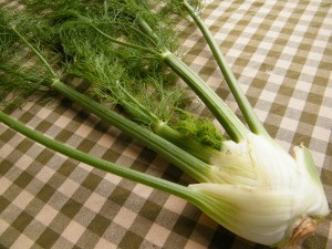 fennel