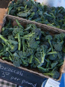 organic local broccoli grown at Makaria Farm