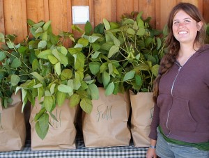 Makaria Farm's 2009 CSA bags Makaria Farm's 2009 CSA bags