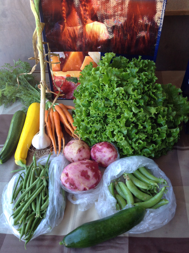 Sign up today for Makaria Farm's vegetable delivery service!