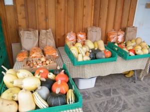 Makaria Farm's organic bulk vegetables ready for pick up