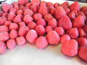 These strawberries were frozen for a few hours on a cookie sheet before being put into a Ziplock bag for long-term freezer storage.