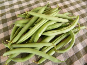 Organic green beans from Makaria Farm