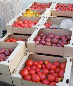 tomatoes-on-cart
