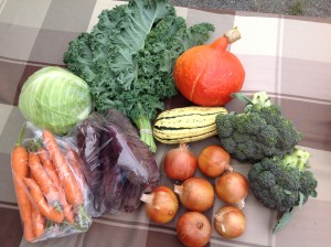 A sample winter CSA vegetable delivery: carrots, cabbage, kale, squash, onions, broccoli, beets.